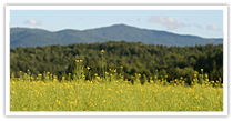 property_landuse_